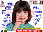 hebrew picture dictionary